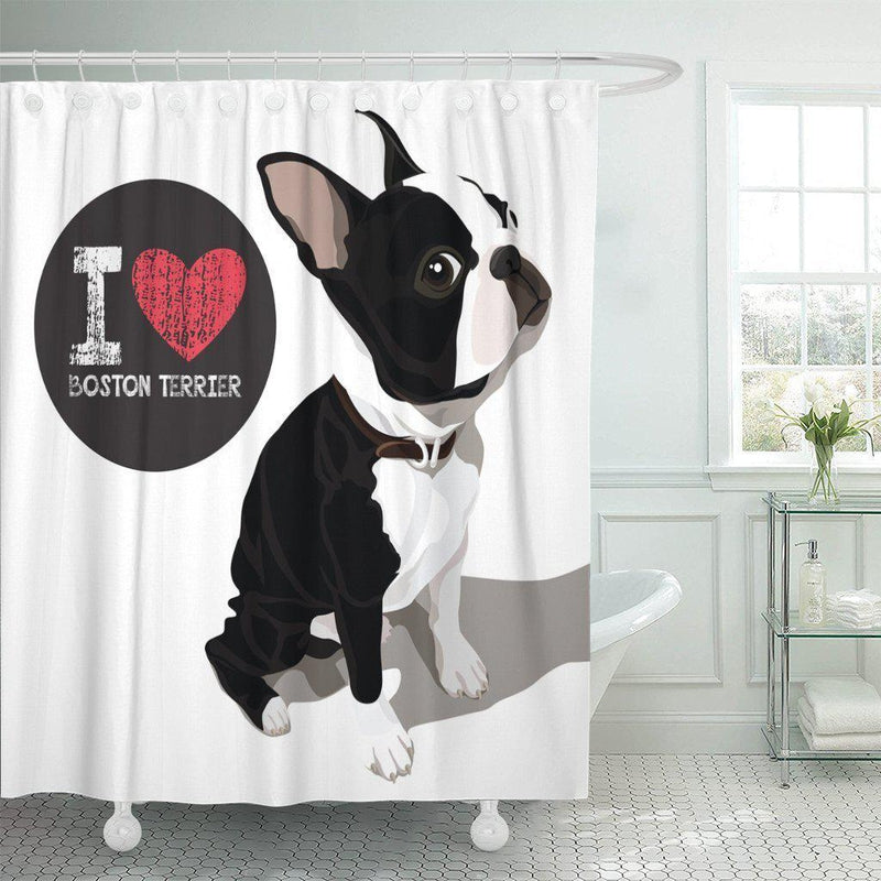 Black and white Boston terrier sitting on a plain white ground