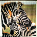 Zebra and foal standing cheek to cheek with stripes filling the panel