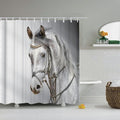 Dappled grey horse in profile against a gradient from white to deep charcoal
