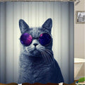 Grey British shorthair cat in round glasses with violet star lenses
