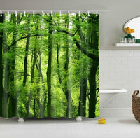 Straight beech trunks backlit through vivid green woodland foliage