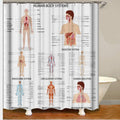 Teaching plate with nine labelled human body diagrams on plain white