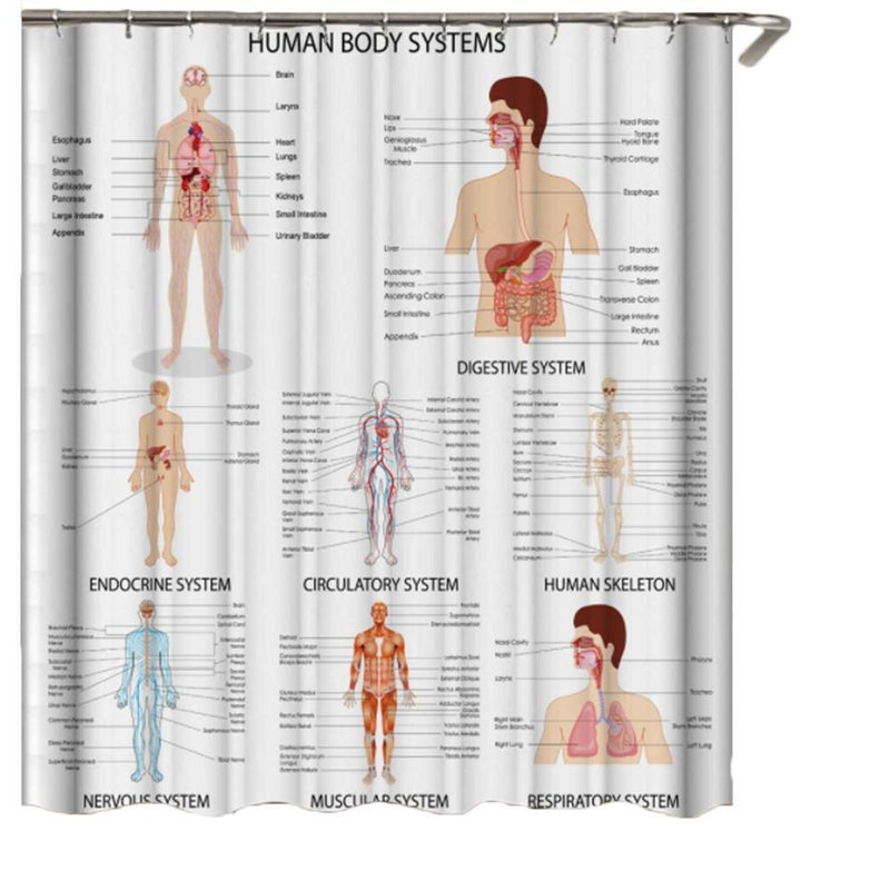 Full drop of the infographic style printed panel hanging