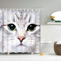 Grey and white tabby cat with green eyes photographed close up filling the panel