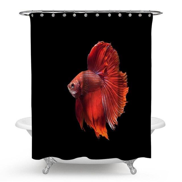 Close detail of the betta long flowing fins against the black ground