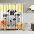 Pug holding an open Daily Dog newspaper while sitting in a bathtub