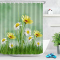 White daisies with yellow centres and yellow blooms above a tuft of grass
